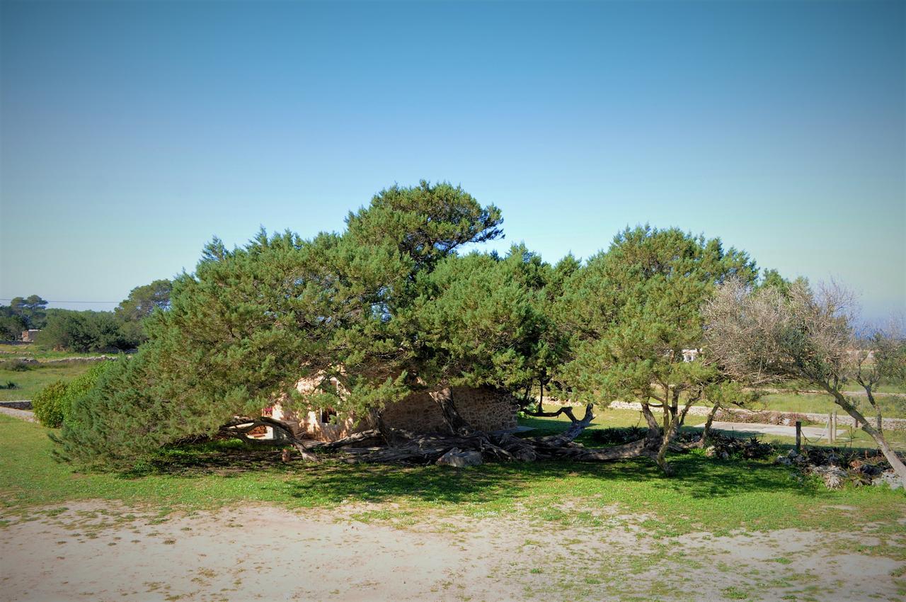 San Francisco Javier Siamoformentera Bella 빌라 외부 사진